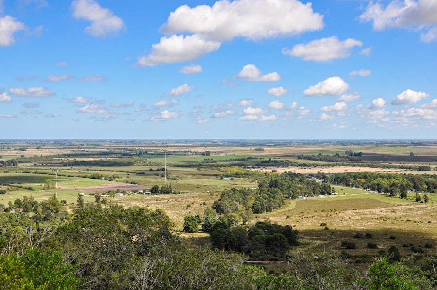 Vast, beautiful open green land